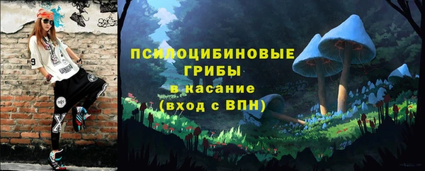apvp Богородицк
