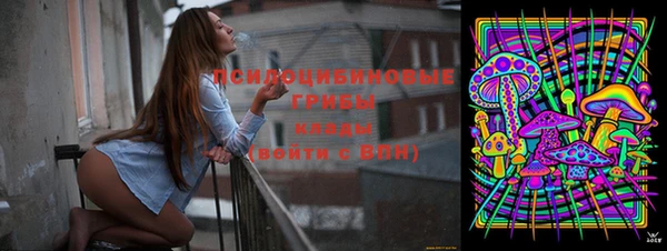 apvp Богородицк